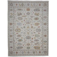 48794 Ziegler Pakistani 